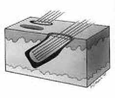 Dig2.bmp (141654 bytes)