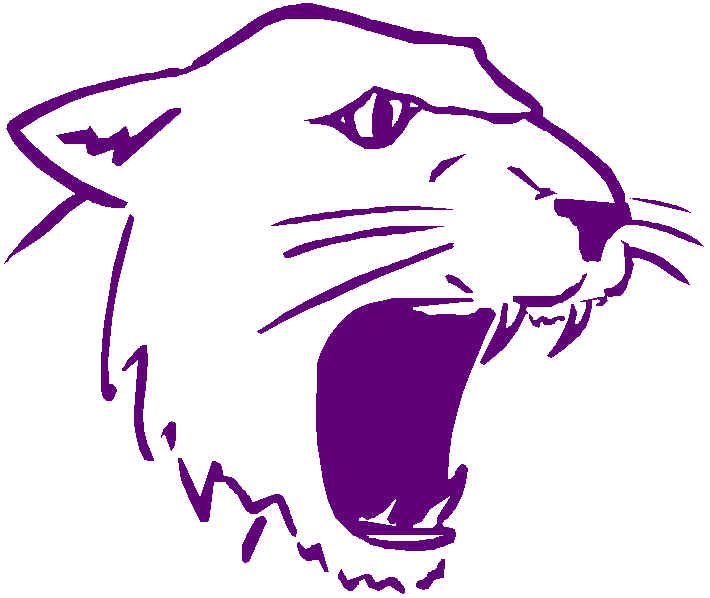 wpe2.jpg (38790 bytes)