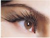 eyelash transplant