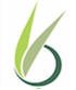 dr tejinder bhatti hair clinic