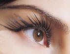 eyelash transplant
