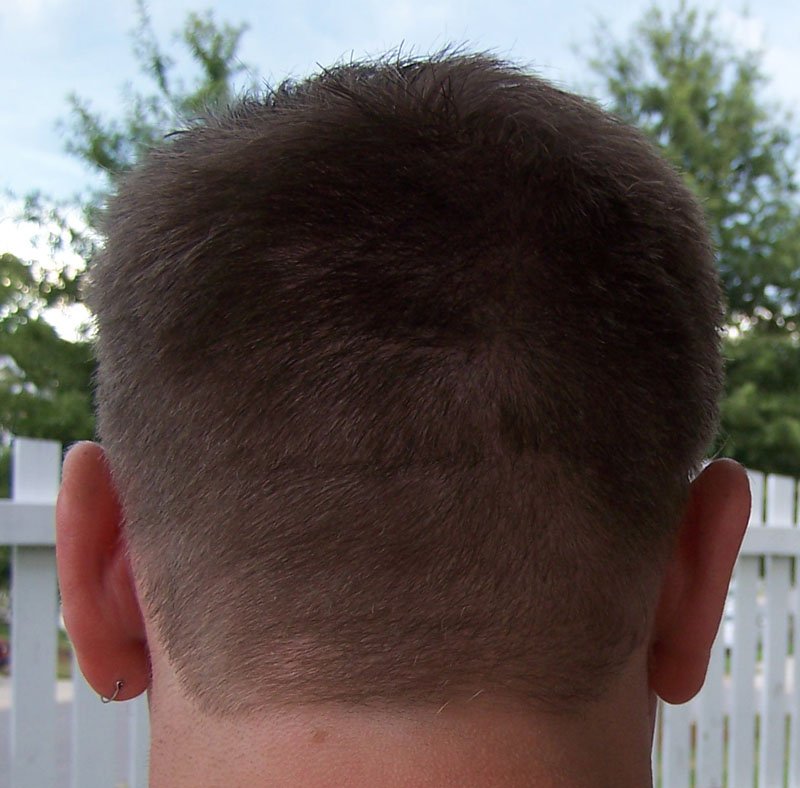 2.5 guard haircut
